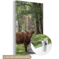 MuchoWow Glasschilderij 120x180 cm - Schilderij acrylglas - Schotse Hooglander - Pad - Boom - Foto op glas - Schilderijen