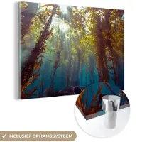 MuchoWow Glasschilderij 60x40 cm - Schilderij acrylglas - Zonlicht en planten onder water - Foto op glas - Schilderijen