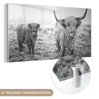 MuchoWow Glasschilderij 80x40 cm - Schilderij acrylglas - Schotse hooglanders - Licht - Lucht - Natuur - Foto op glas - Schilderijen
