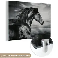 MuchoWow - Glasschilderij - Foto op glas - Acrylglas - Dieren - Paard - Natuur - Zwart wit - Wanddecoratie - 180x120 cm - Schilderij paard - Schilderijen woonkamer