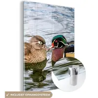 MuchoWow - Glasschilderij - Foto op glas - Acrylglas - Eend - Vogels - Water - Veren - 120x160 cm - Schilderij glas - Glasschilderij vogels - Glasschilderij dieren - Slaapkamer
