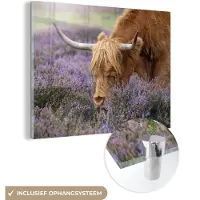 MuchoWow Glasschilderij 160x120 cm - Schilderij acrylglas - Schotse Hooglander - Dieren - Heide - Foto op glas - Schilderijen