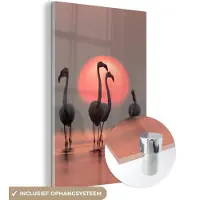 MuchoWow Glasschilderij - Foto op glas - Flamingo - Zon - Roze - Vogel - Tropisch - Acrylglas - 120x180 cm - Glasschilderij flamingo - Wanddecoratie - Glasschilderij vogels - Kamer decoratie