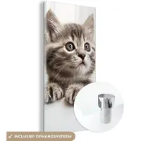 MuchoWow - Glasschilderij - Foto op glas - Kat - Grijs - Poes - Kitten - Dieren - 40x80 cm - Acrylglas - Glasschilderij kat - Schilderij glas - Kamer decoratie - Woonkamer