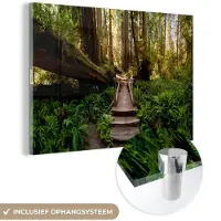 MuchoWow Glasschilderij 180x120 cm - Schilderij acrylglas - Jungle - Natuur - Trap - Bomen - Foto op glas - Muurdecoratie woonkamer - Wanddecoratie slaapkamer - Schilderijen