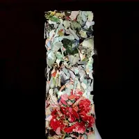 One Little Indian Foxtrott - A Taller Us (LP)