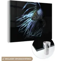 MuchoWow Glasschilderij 40x30 cm - Schilderij acrylglas - Vis - Staart - Zwart - Foto op glas - Schilderijen