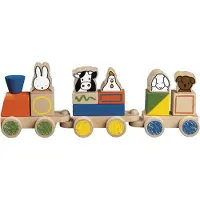 Bambolino toys Nijntje - Houten speelgoed blokkentrein - 17 onderdelen - Multicolour