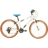 Raleigh Kinderfiets Pop Uni Zilver 24"