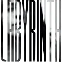 Konkurrent Heather Woods Broderick - Labyrinth (LP) (Coloured Vinyl) (Limited Edition)