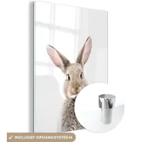 MuchoWow Glasschilderij 120x160 cm - Schilderij acrylglas - Konijn - Dieren - Natuur - Bruin - Foto op glas - Schilderijen