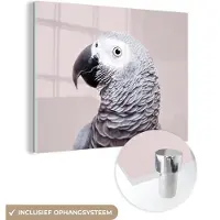 MuchoWow Glasschilderij 80x60 cm - Schilderij acrylglas - Papegaai - Grijs - Dieren - Natuur - Foto op glas - Schilderijen