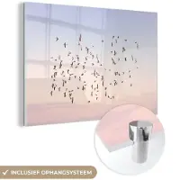 MuchoWow Glasschilderij 180x120 cm - Schilderij acrylglas - Vogels - Zee - Lucht - Natuur - Zomer - Foto op glas - Schilderijen