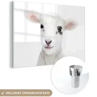 MuchoWow Glasschilderij 180x120 cm - Schilderij acrylglas - Lam - Wit - Dieren - Natuur - Foto op glas - Schilderijen