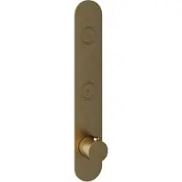 Hotbath Cobber PB066EXT afbouwdeel inbouwthermostaat met achterplaat en 2 drukknoppen geborsteld messing