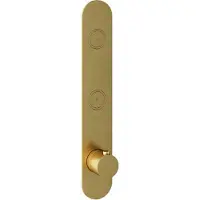 Hotbath Cobber PB066EXT afbouwdeel inbouwthermostaat met achterplaat en 2 drukknoppen geborsteld messing PVD