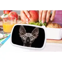 MuchoWow Broodtrommel Wit - Lunchbox - Brooddoos - Kat - Huisdieren - Portret - Zwart - 18x12x6 cm - Volwassenen