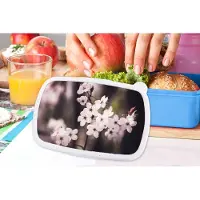 MuchoWow Broodtrommel Blauw - Lunchbox - Brooddoos - Bloemen - Wit - Natuur - Plant - Bloesem - 18x12x6 cm - Kinderen - Jongen
