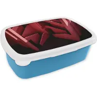 MuchoWow Broodtrommel Blauw - Lunchbox - Brooddoos - Roze - Architectuur - Trappen - 18x12x6 cm - Kinderen - Jongen