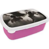 MuchoWow Broodtrommel Roze - Lunchbox - Brooddoos - Ballet - Ballerina - Dans - 18x12x6 cm - Kinderen - Meisje