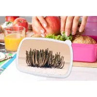 MuchoWow Broodtrommel Roze - Lunchbox - Brooddoos - Cactus - Plant - Natuur - Groen - 18x12x6 cm - Kinderen - Meisje