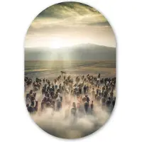 MuchoWow Muurovaal 40x60 cm - Ovale wanddecoratie Paarden - Natuur - Mist - Wilde dieren - Ovalen schilderij - Muurdecoratie woonkamer - Kamer decoratie - Schilderijen - Wandcirkel