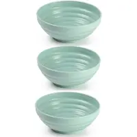 Forte Plastics Set van 6x kommetjes/schaaltjes - Dessert/ontbijt - Kunststof - D13 cm - Mintgroen - Kommetjes