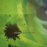 Konkurrent Eiafuawn - Birds In The Ground (LP) (Coloured Vinyl)