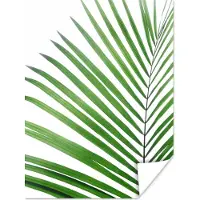 PosterMonkey Poster Plant - Groen - Natuur - Wit - 30x40 cm