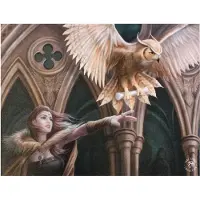 Anne Stokes Owl Messenger canvas schilderij