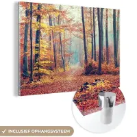 MuchoWow Glasschilderij 30x20 cm - Schilderij acrylglas - Bos - Herfst - Bladeren - Foto op glas - Schilderijen