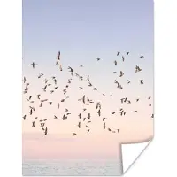 PosterMonkey Poster Vogels - Zee - Lucht - Natuur - Zomer - 30x40 cm