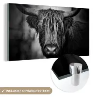 MuchoWow Glasschilderij 120x60 cm - Schilderij acrylglas - Schotse hooglander - Licht - Portret - Natuur - Foto op glas - Schilderijen
