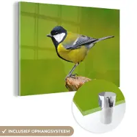MuchoWow Glasschilderij - Foto op glas - Vogel - Koolmees - Groen - Dieren - Acrylglas - 180x120 cm - Glasschilderij vogels - Schilderij glas - Glasschilderij dieren - Muurdecoratie - Woonkamer