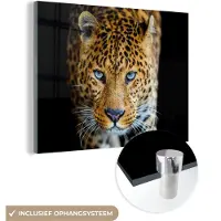 MuchoWow Glasschilderij - Acrylglas - Muurdecoratie - Luipaard - Zwart - Dieren - Schilderij glas - 160x120 cm - Foto op glas - Woonkamer - Wanddecoratie