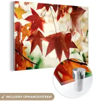 MuchoWow Glasschilderij 180x120 cm - Schilderij acrylglas - Herfstbladeren - November - Natuur - Bomen - Foto op glas - Schilderijen