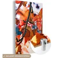 MuchoWow Glasschilderij 20x30 cm - Schilderij acrylglas - Esdoorn - Bladeren - Landelijk - Herfst - Foto op glas - Schilderijen