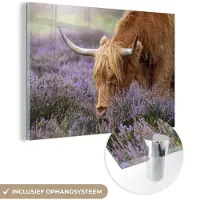 MuchoWow Glasschilderij 30x20 cm - Schilderij acrylglas - Schotse Hooglander - Dieren - Heide - Foto op glas - Schilderijen