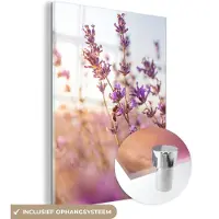 MuchoWow Glasschilderij - Foto op glas - Bloemen - Lavendel - Bij - Zon - Licht - Acrylglas - 120x160 cm - Schilderij glas - Muurdecoratie glas - Decoratie woonkamer - Glasschilderij bloemen