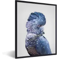 PosterMonkey Fotolijst incl. Poster - Kaketoe - Blauw - Dieren - Natuur - 30x40 cm - Posterlijst