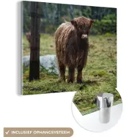 MuchoWow Glasschilderij 160x120 cm - Schilderij acrylglas - Schotse Hooglander - Bos - Mos - Foto op glas - Schilderijen