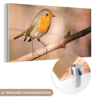 MuchoWow Glasschilderij 40x20 cm - Schilderij acrylglas - Vogel - Tak - Roodborstje - Foto op glas - Schilderijen