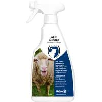 Excellent Mr Spray Schaap