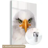 MuchoWow Glasschilderij 120x160 cm - Schilderij acrylglas - Jongens - Adelaar - Amerikaanse zeearend - Vogel - Portret - Snavel - Ogen - Foto op glas - Schilderijen