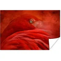 PosterMonkey Poster Tropisch - Vogel - Rood - Dieren - 180x120 cm XXL