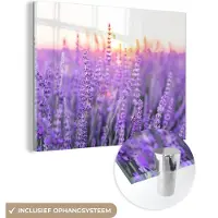 MuchoWow Glasschilderij - Lavendel - Zonsondergang - Bloemen - Paars - Acrylglas - Foto op glas - 40x30 cm - Muurdecoratie glas - Glasschilderij natuur - Schilderij glas - Schilderij paars