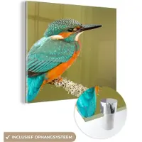 MuchoWow Glasschilderij 50x50 cm - Schilderij acrylglas - IJsvogel - Dieren - Vogel - Foto op glas - Schilderijen