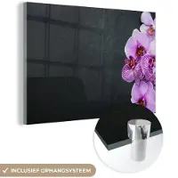 MuchoWow Glasschilderij 150x100 cm - Schilderij acrylglas - Orchidee - Bloemen - Roze - Flora - Foto op glas - Muurdecoratie woonkamer - Wanddecoratie slaapkamer - Schilderijen