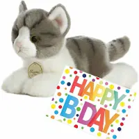 Aurora Pluche knuffel kat/poes grijs/witte 20 cm met A5-size Happy Birthday wenskaart - Knuffel huisdieren