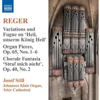 OUTHERE Josef Still - Reger: Organ Works Volume 9 (CD)